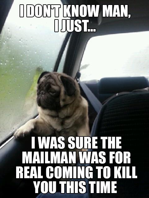 Pug Humor