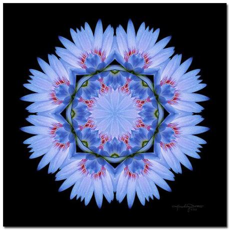Medicine Woman - Blue Beauty Flower Mandala Art