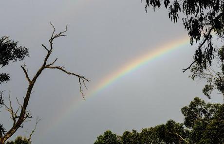 rainbow against dark cloud