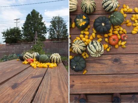 From Decor to Dinner: A Happy Harvest Tale