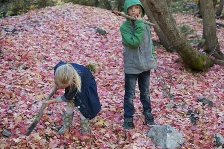 A fall story... A fall story...