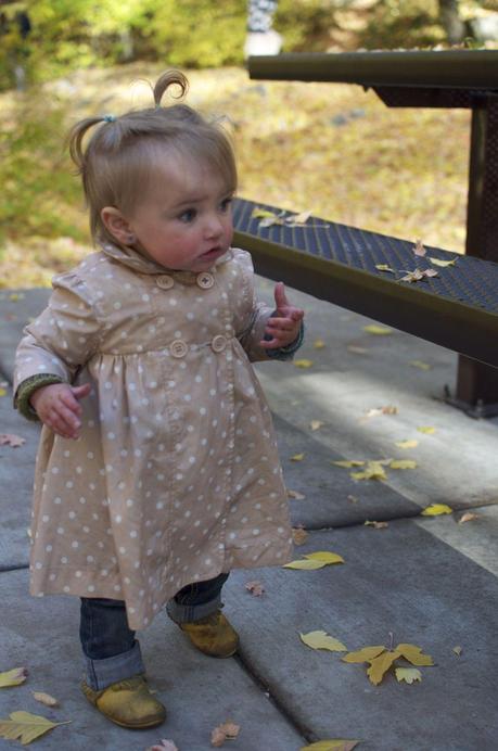 A fall story... A fall story...