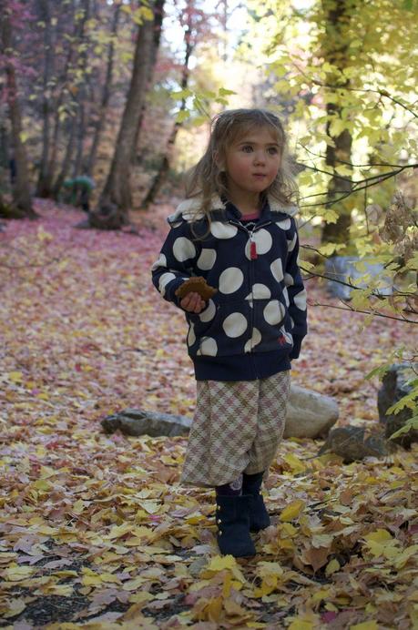 A fall story... A fall story...