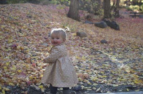 A fall story... A fall story...