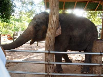 OLYMPUS DIGITAL CAMERA OLYMPUS DIGITAL CAMERA