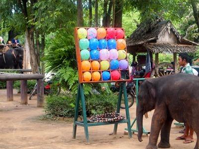 OLYMPUS DIGITAL CAMERA OLYMPUS DIGITAL CAMERA