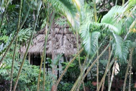 Thailand (442 of 470) Thailand (442 of 470)