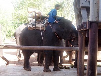 OLYMPUS DIGITAL CAMERA OLYMPUS DIGITAL CAMERA