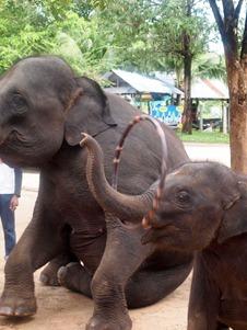 OLYMPUS DIGITAL CAMERA OLYMPUS DIGITAL CAMERA