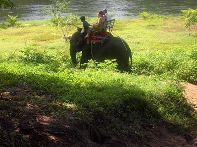 OLYMPUS DIGITAL CAMERA OLYMPUS DIGITAL CAMERA