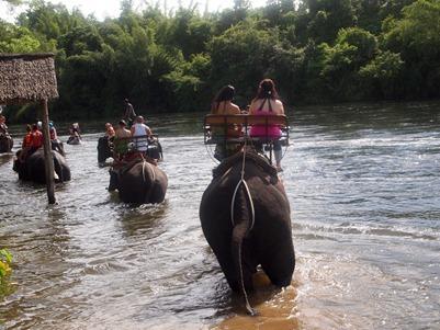 OLYMPUS DIGITAL CAMERA OLYMPUS DIGITAL CAMERA