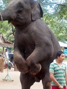 OLYMPUS DIGITAL CAMERA OLYMPUS DIGITAL CAMERA