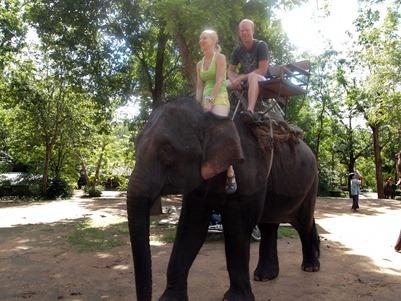 OLYMPUS DIGITAL CAMERA OLYMPUS DIGITAL CAMERA