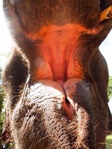 OLYMPUS DIGITAL CAMERA OLYMPUS DIGITAL CAMERA