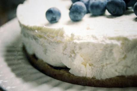Vanilla and blueberry cheesecake