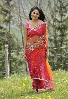 Anushka - Hot in Transparent Saree