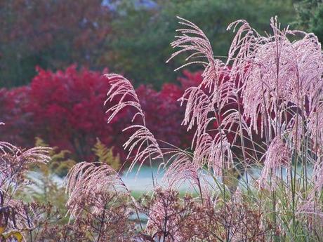 Weekend odds and ends Weekend odds and ends