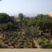 Movenpick_Dead_Sea_Hotel_Amman_Jordan3