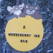 A Mooseberry Inn Tok, AK