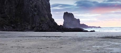 Four Beaches in the West Nz_mushrooms18