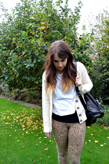 Cheetah Cheetah