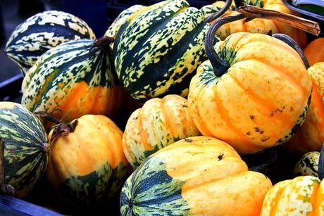 IMG_3217 The Picky Eater’s Fall Cleanse and Detox Guide!