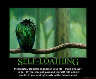 self loathing im for cloning now demotivational poster 1271814878 Time To Tackle My Self loathing Problem 