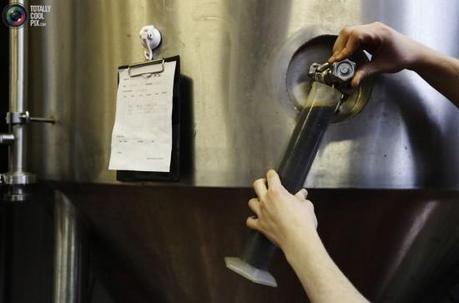 How Beer is Made in a Micro Brewery