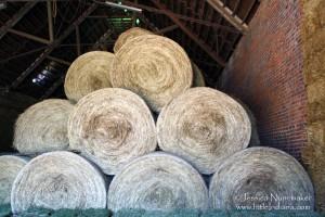 Michaela Farms: Oldenburg, Indiana Michaela Farms: Oldenburg, Indiana