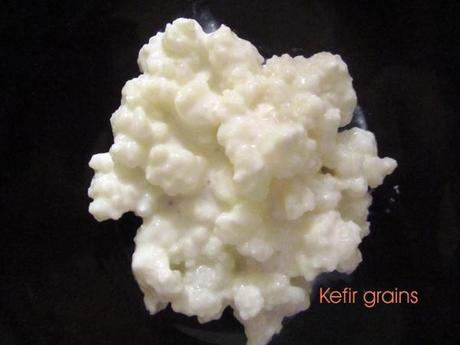 Kefir grains