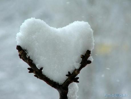Snow Heart in a Tree's Embrace (from http://divinetheatre.blogspot.ca/2012/02/melt-with-you.html)