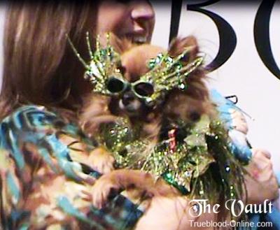 Kristin Bauer Attends Doggie Bow Wow for Amanda Foundation Kristin Bauer Attends Doggie Bow Wow for Amanda Foundation