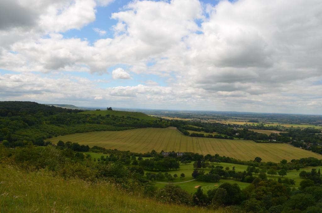 Coombe Hill 19th July 2012