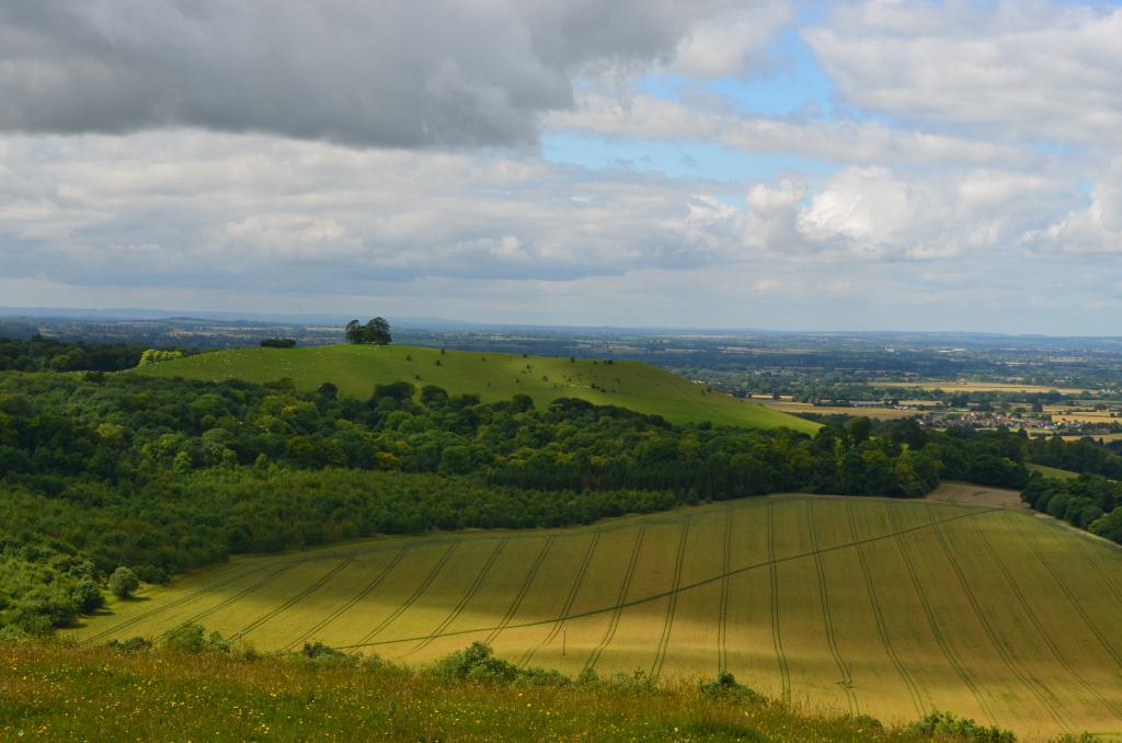 Coombe Hill 19th July 2012