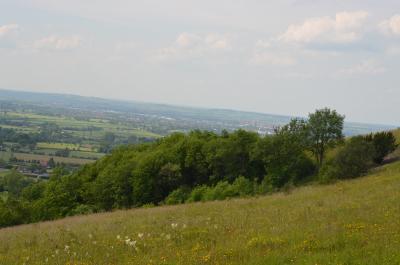 Bacombe Hill and Coombe Hill