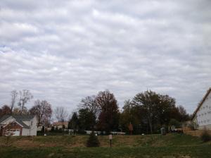 IMG_0229 Ready or Not… It’s November