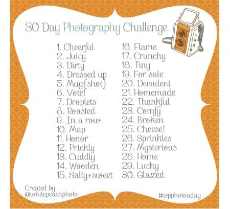 30 Day Photo Challenge…November