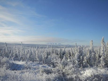 The view on a snow covered Dalton Highway Great Drives: Alaska’s Dalton Highway | Fairbanks to Deadhorse