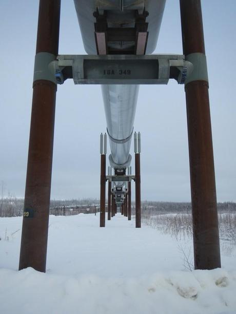 Detail of the Alaskan Pipeline Great Drives: Alaska’s Dalton Highway | Fairbanks to Deadhorse