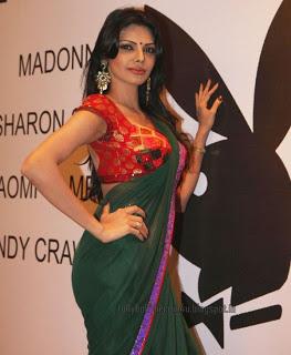 Sherlyn Chopra - Sexy Navel n Cleavage in Saree