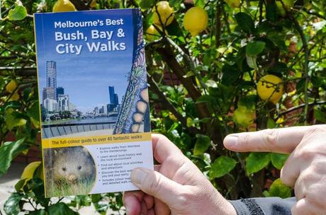 holding book melbourne's best bush, bay and city walks by julie mundy