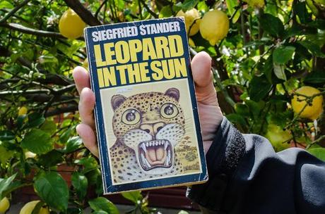 holding book leopard in the sun by siegfried stander