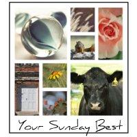 Scav Hunt Sunday: Noam edition YourSundayBest