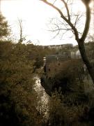 Water of leith and Murrayfield stadium