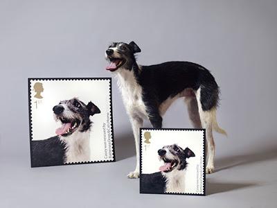 Homeless Dogs Immortalized on Stamps!