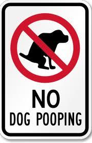 Don't Poop In My Yard !