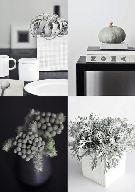 Interior gardens: it's a grey and white world