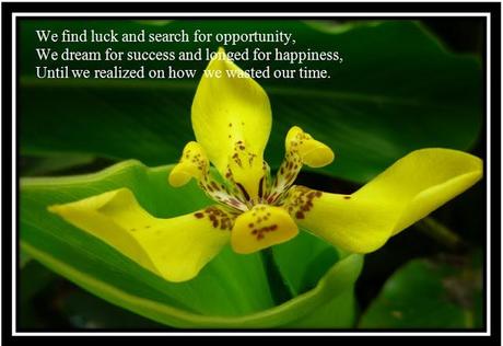 Opportunity is a gift