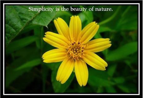 Images about Simplicity