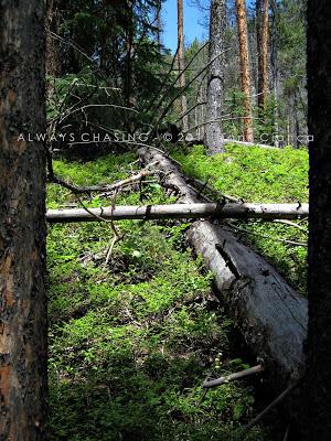 2011 - July 20th - Family Vacation Day 2 - Cascade Falls, Rocky Mountain National Park 2011 - July 20th - Family Vacation Day 2 - Cascade Falls, Rocky Mountain National Park